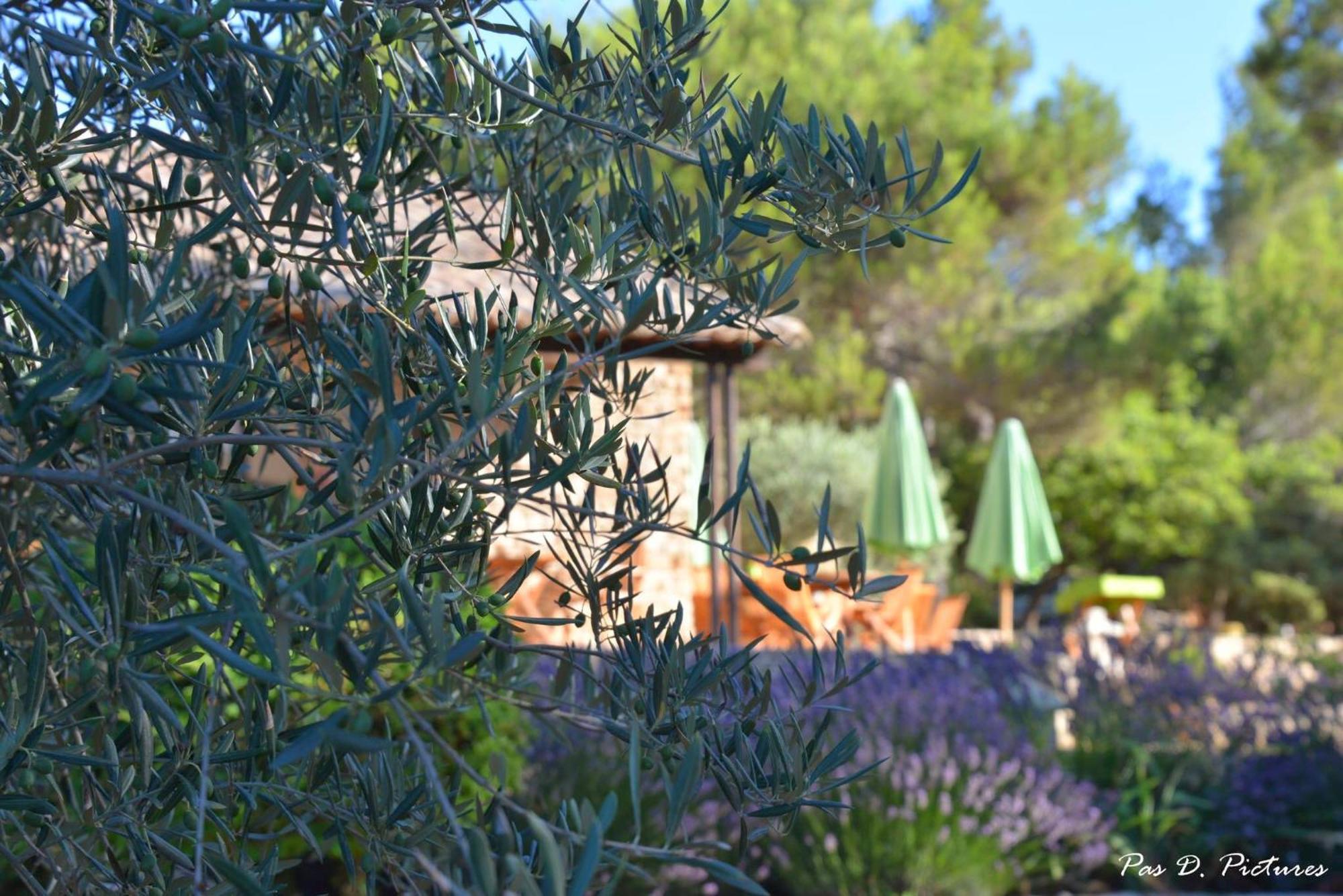 Le Jas De Joucas Hotel-Restaurant Exterior photo